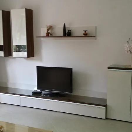 Apartment Jani *
